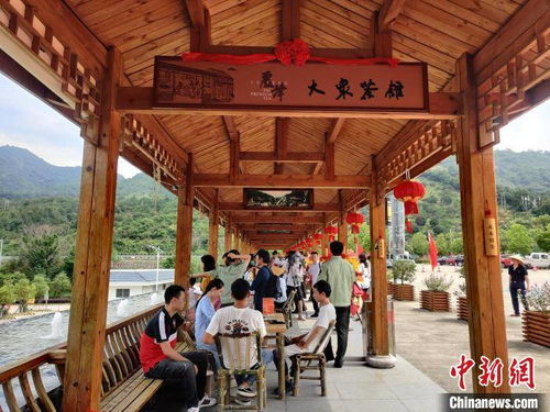 福建首家高速服務區大眾茶館開業 探索“茶旅融合”新路徑，為旅途添一縷茶香